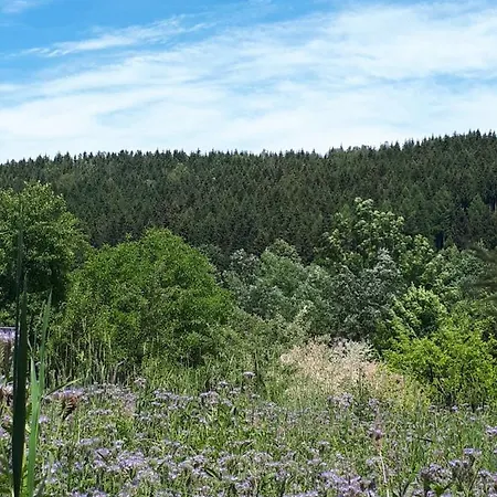 Lägenhet Lawendowy Zakatek -