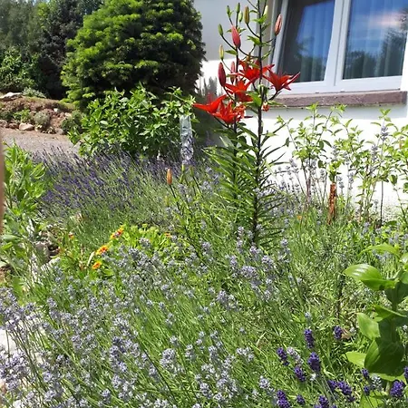 Lawendowy Zakatek - Lägenhet Lewin Klodzki