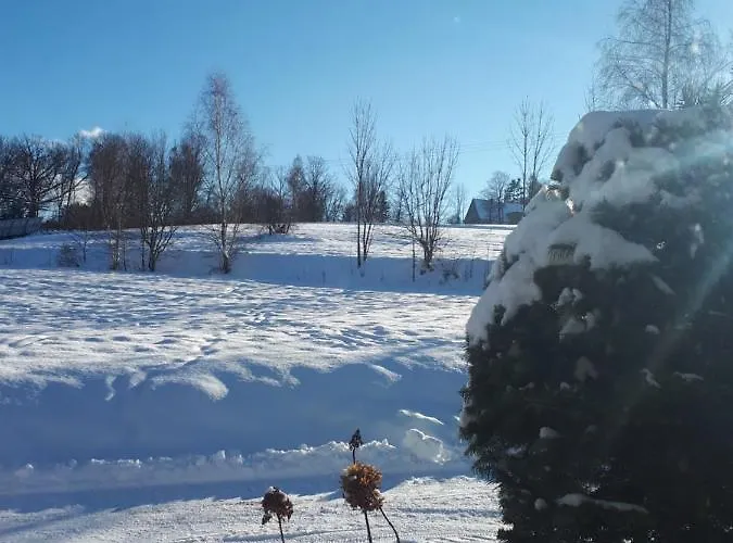 Lawendowy Zakątek -