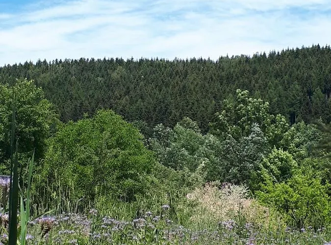 Apartament Lawendowy Zakątek -