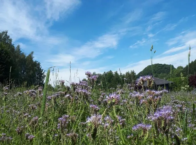 Lawendowy Zakątek -