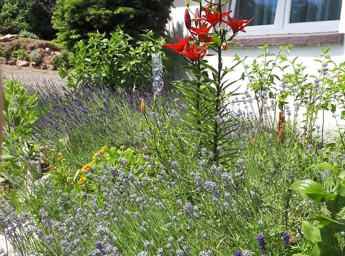 Lawendowy Zakątek - Apartament Lewin Klodzki